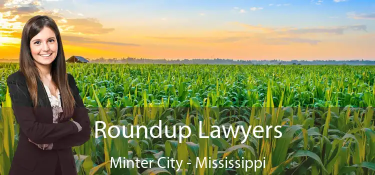 Roundup Lawyers Minter City - Mississippi