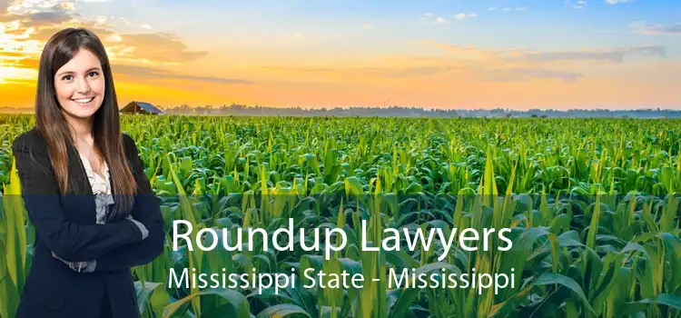 Roundup Lawyers Mississippi State - Mississippi