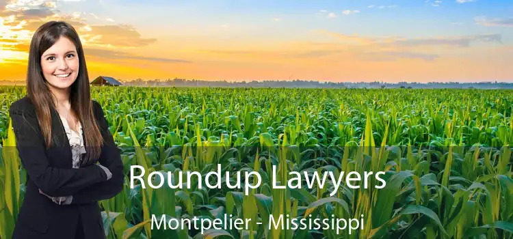 Roundup Lawyers Montpelier - Mississippi