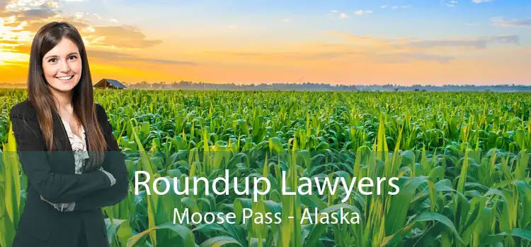 Roundup Lawyers Moose Pass - Alaska