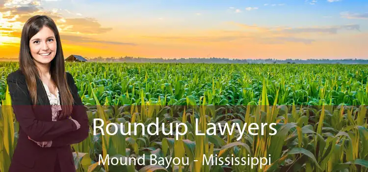 Roundup Lawyers Mound Bayou - Mississippi