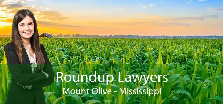 Roundup Lawyers Mount Olive - Mississippi