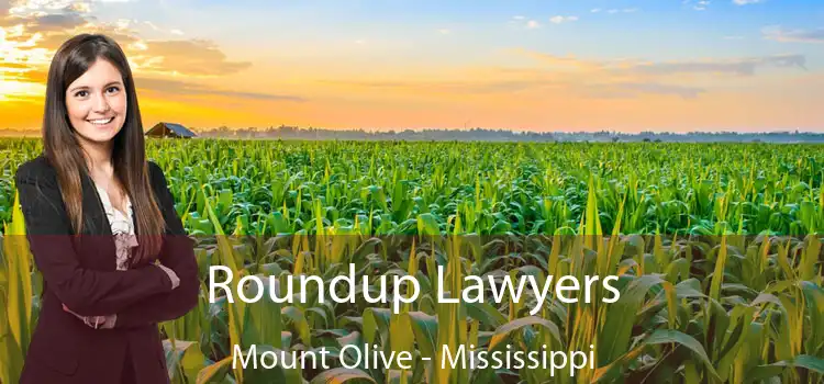 Roundup Lawyers Mount Olive - Mississippi