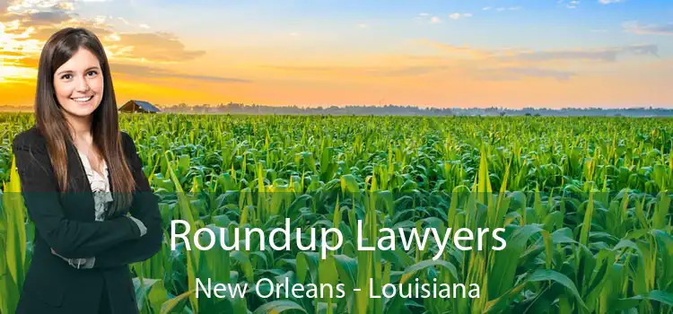 Roundup Lawyers New Orleans - Louisiana