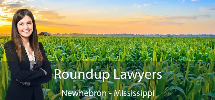 Roundup Lawyers Newhebron - Mississippi