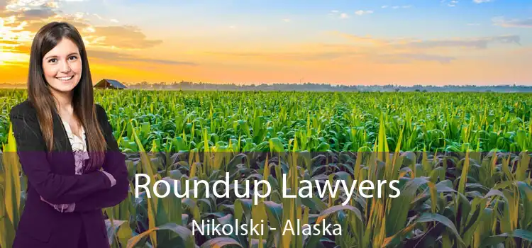 Roundup Lawyers Nikolski - Alaska