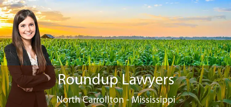 Roundup Lawyers North Carrollton - Mississippi