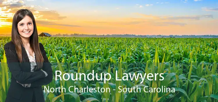 Roundup Lawyers North Charleston - South Carolina