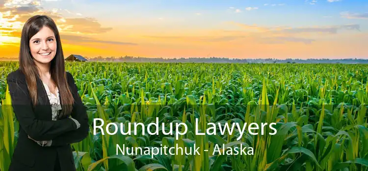 Roundup Lawyers Nunapitchuk - Alaska