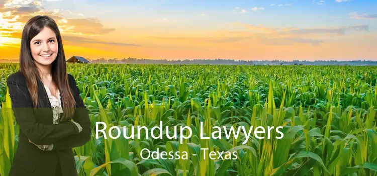 Roundup Lawyers Odessa - Texas
