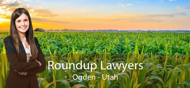 Roundup Lawyers Ogden - Utah