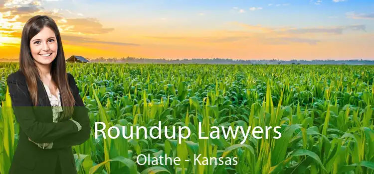 Roundup Lawyers Olathe - Kansas