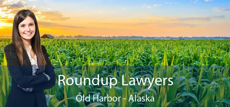 Roundup Lawyers Old Harbor - Alaska