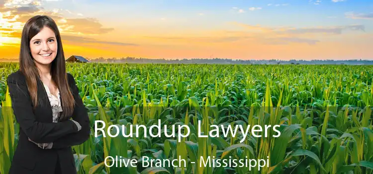 Roundup Lawyers Olive Branch - Mississippi