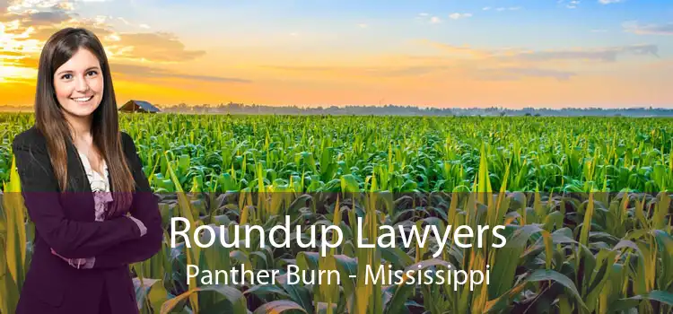 Roundup Lawyers Panther Burn - Mississippi