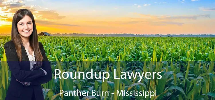 Roundup Lawyers Panther Burn - Mississippi