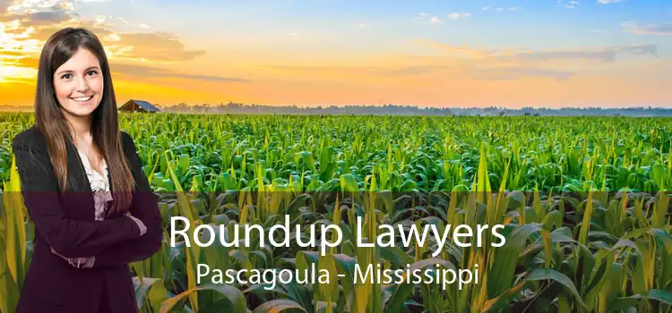 Roundup Lawyers Pascagoula - Mississippi