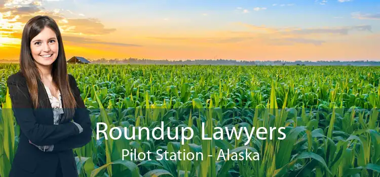 Roundup Lawyers Pilot Station - Alaska