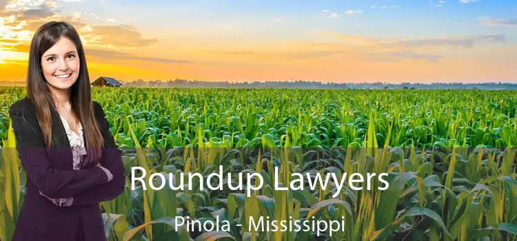 Roundup Lawyers Pinola - Mississippi