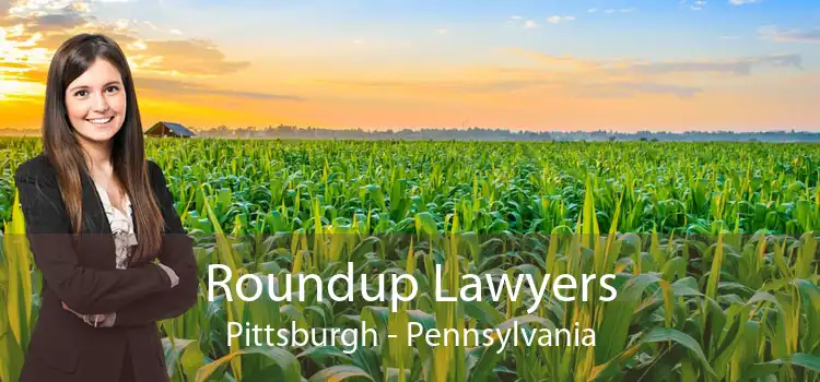 Roundup Lawyers Pittsburgh - Pennsylvania