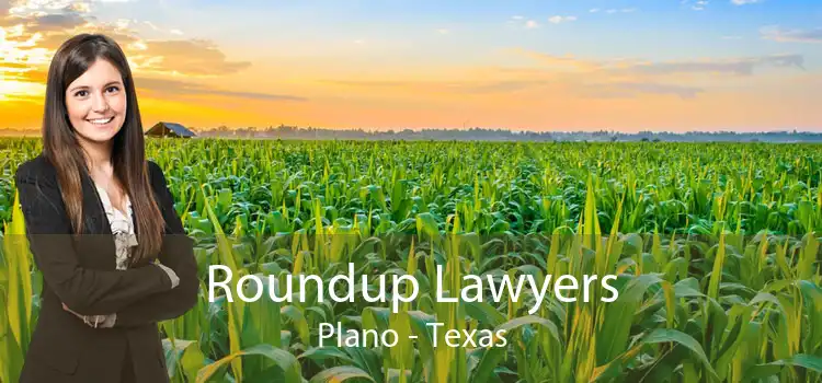 Roundup Lawyers Plano - Texas