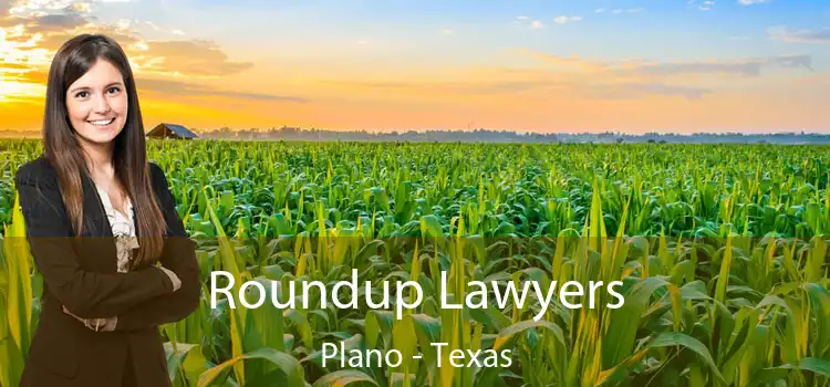 Roundup Lawyers Plano - Texas