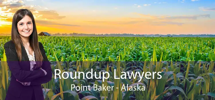 Roundup Lawyers Point Baker - Alaska
