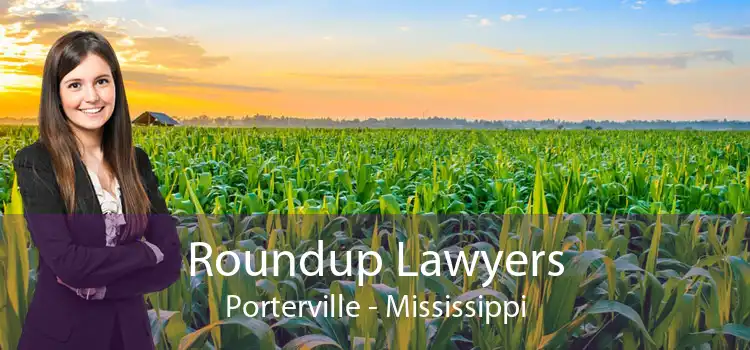 Roundup Lawyers Porterville - Mississippi