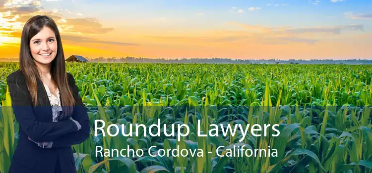 Roundup Lawyers Rancho Cordova - California