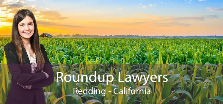 Roundup Lawyers Redding - California