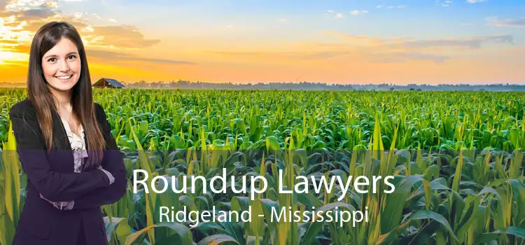 Roundup Lawyers Ridgeland - Mississippi