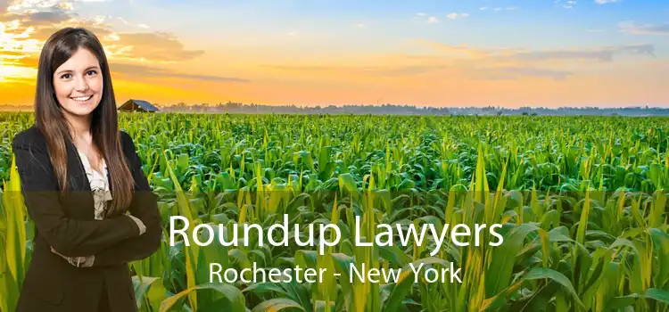 Roundup Lawyers Rochester - New York
