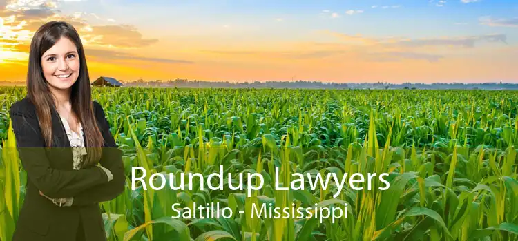 Roundup Lawyers Saltillo - Mississippi