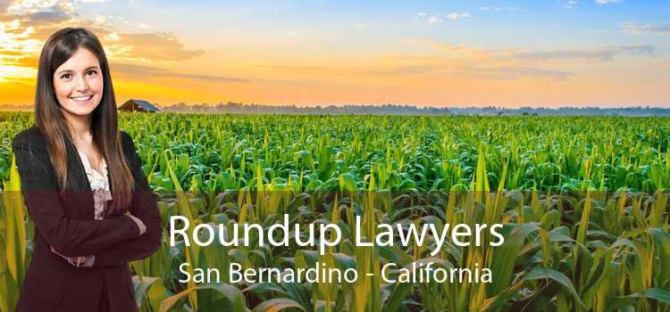 Roundup Lawyers San Bernardino - California