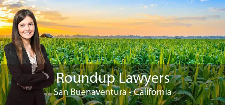 Roundup Lawyers San Buenaventura - California