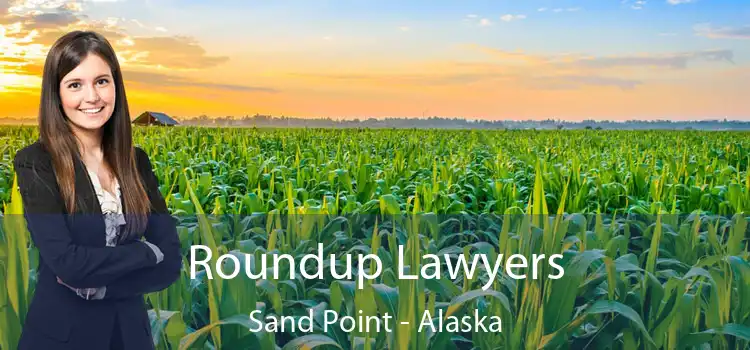 Roundup Lawyers Sand Point - Alaska