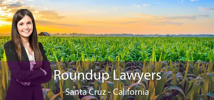 Roundup Lawyers Santa Cruz - California