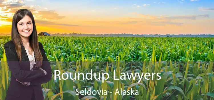 Roundup Lawyers Seldovia - Alaska