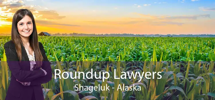 Roundup Lawyers Shageluk - Alaska