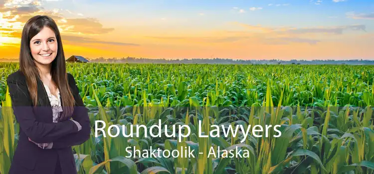 Roundup Lawyers Shaktoolik - Alaska