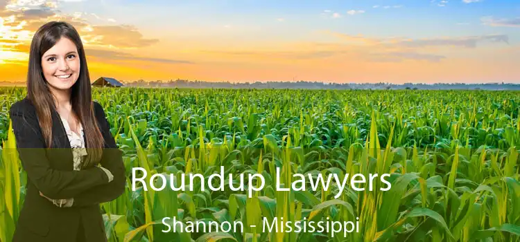 Roundup Lawyers Shannon - Mississippi