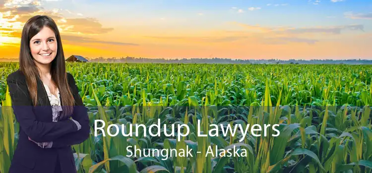 Roundup Lawyers Shungnak - Alaska