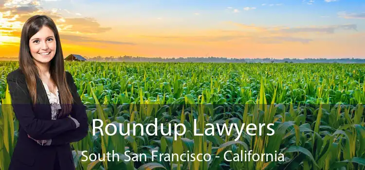 Roundup Lawyers South San Francisco - California