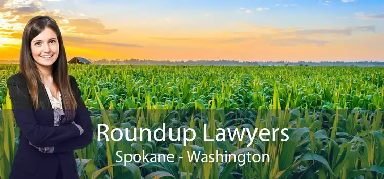 Roundup Lawyers Spokane - Washington