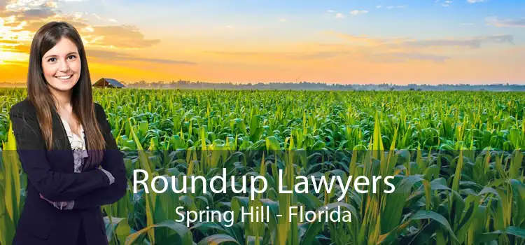 Roundup Lawyers Spring Hill - Florida
