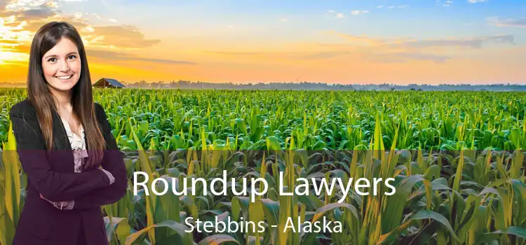 Roundup Lawyers Stebbins - Alaska