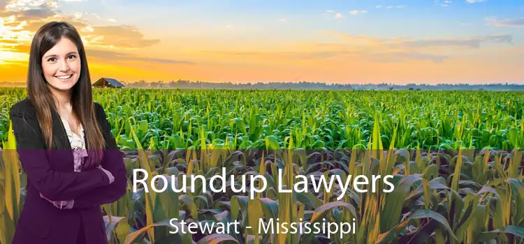 Roundup Lawyers Stewart - Mississippi