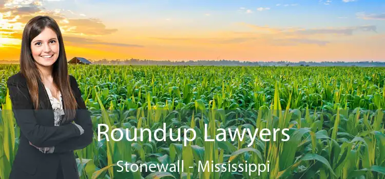 Roundup Lawyers Stonewall - Mississippi