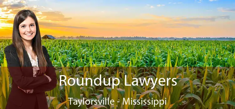 Roundup Lawyers Taylorsville - Mississippi