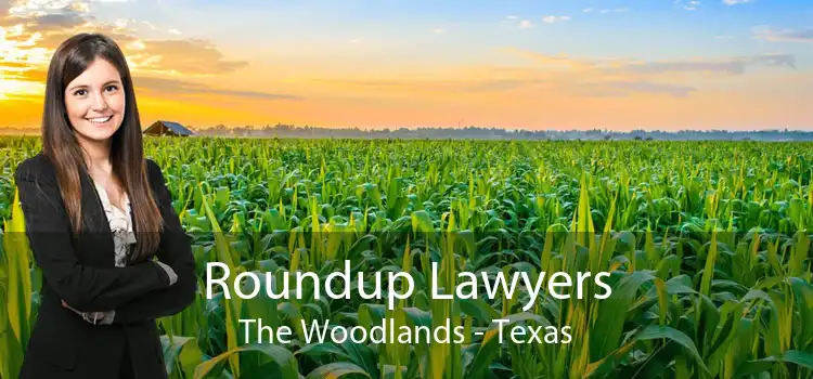 Roundup Lawyers The Woodlands - Texas